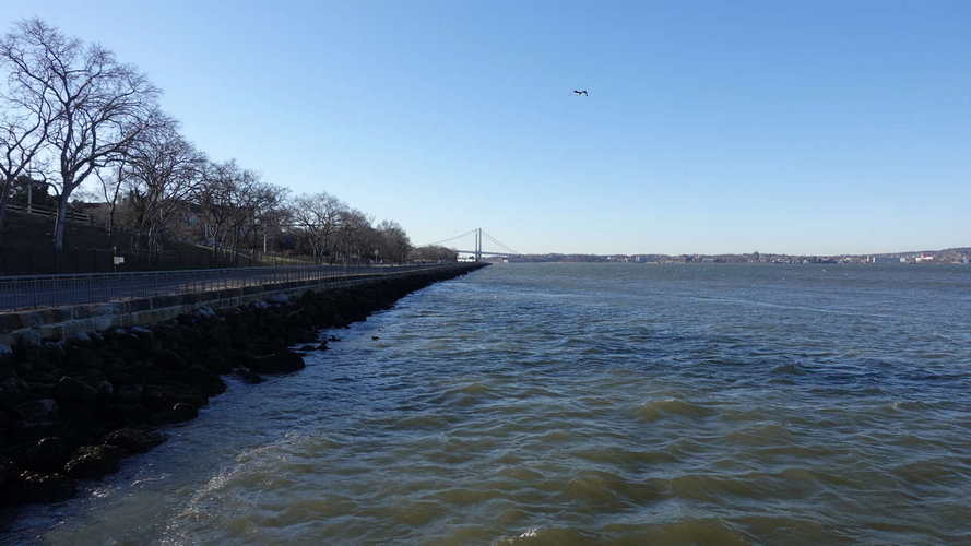 NYC_2024-02-05 09-02-45_RX_07354